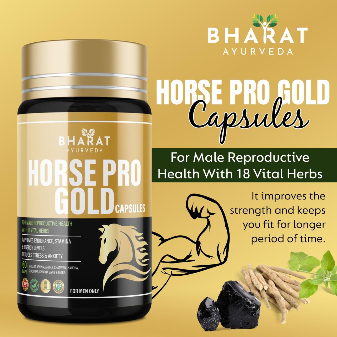 Horse Pro Gold Capsules  with Oil