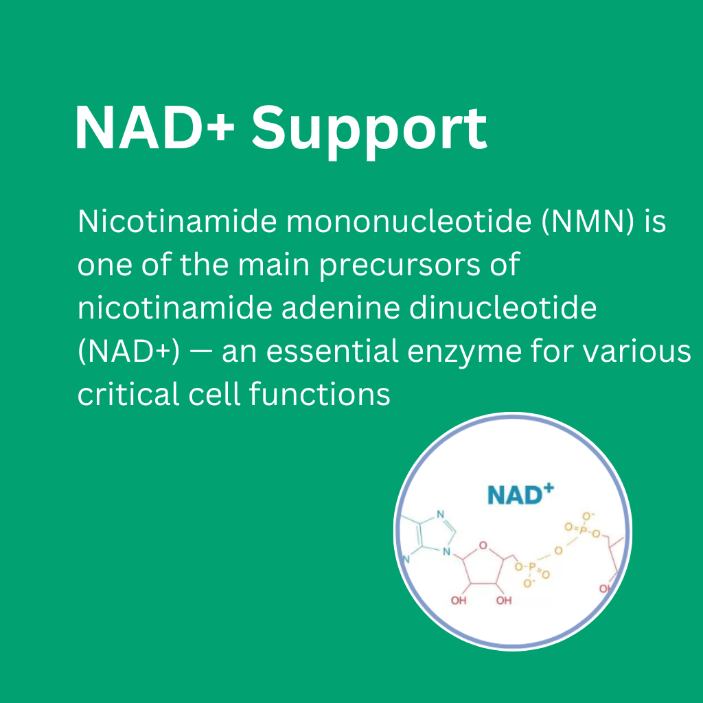 NMN PRO+ 1000 mg
